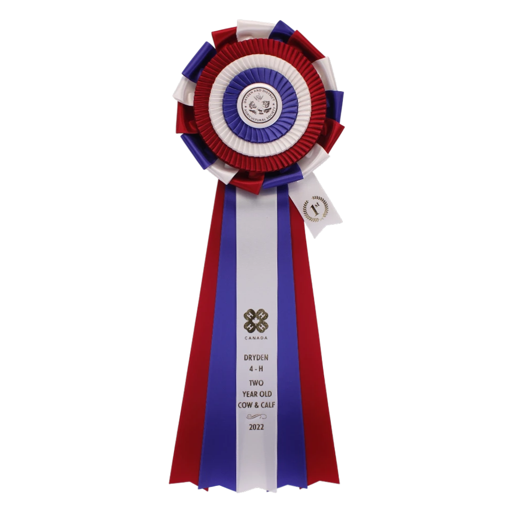 Rosettes | 100-20 White, Blue, and Red | Encore Promotional Products